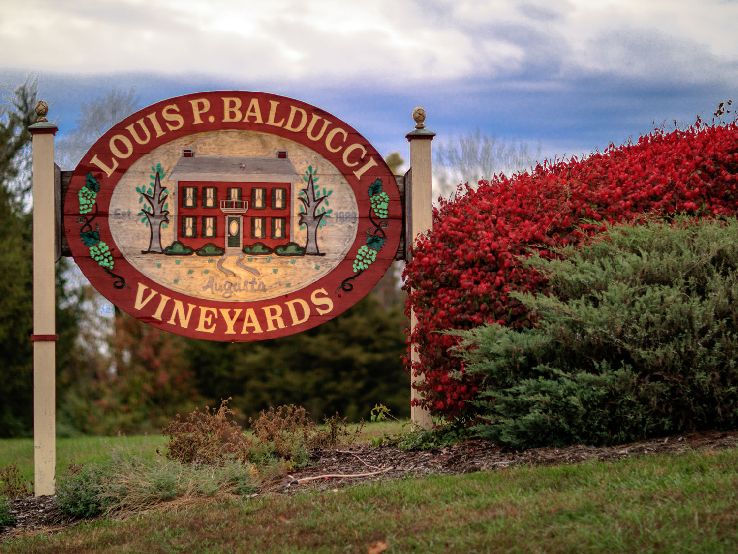 Spotlight: Balducci Vineyards